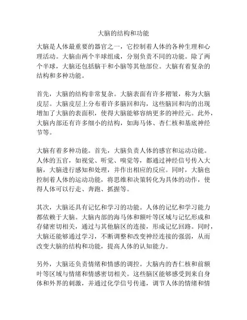 大脑的结构和功能