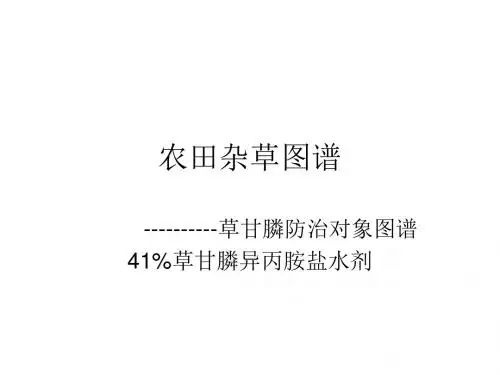 高清杂草图谱