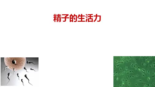 精子的生活力课件(共22张PPT)《动物繁殖》同步教学(中国农业出版社)