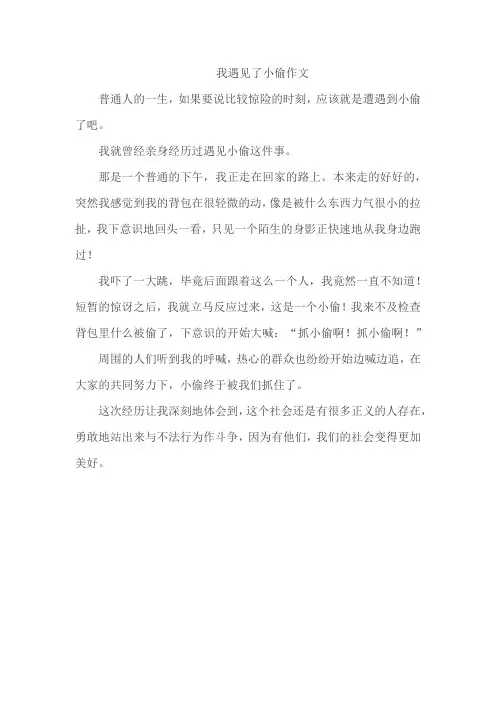我遇见了小偷作文