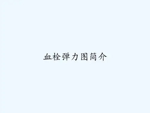 血栓弹力图简介-PPT