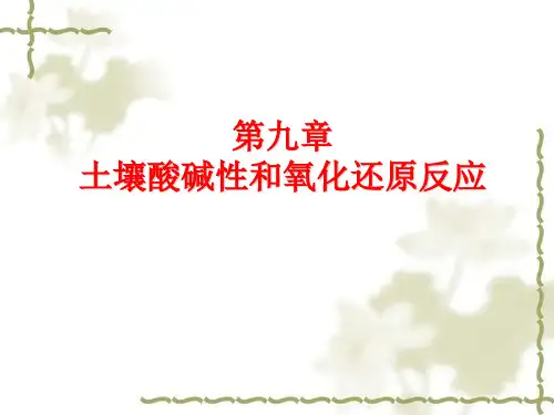 2011_09土壤酸碱性和氧化还原反应