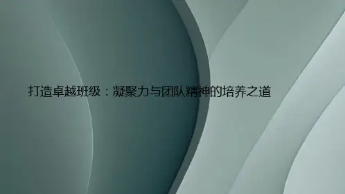 打造卓越班级：凝聚力与团队精神的培养之道