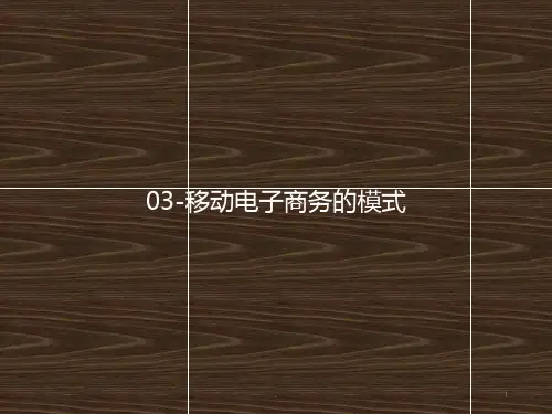 移动电子商务的模式PPT课件