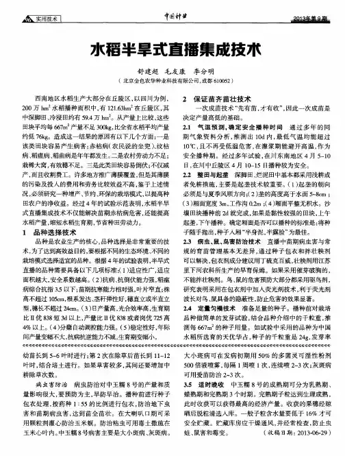 水稻半旱式直播集成技术