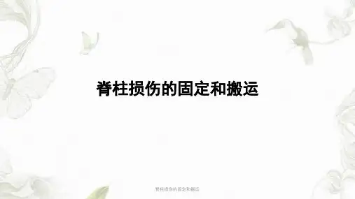 脊柱损伤的固定和搬运ppt课件