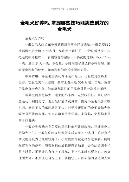 金毛犬好养吗,掌握哪些技巧能挑选到好的金毛犬