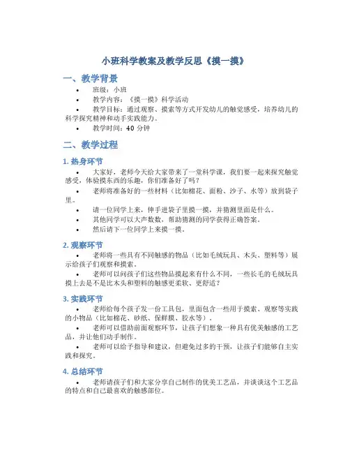 小班科学教案及教学反思《摸一摸》
