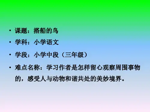 新部编人教版三年级语文上册《搭船的鸟》精品课件ppt