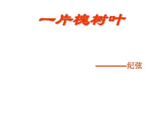 语文：语文版八年级下《现代诗两首》一片槐树叶 课件