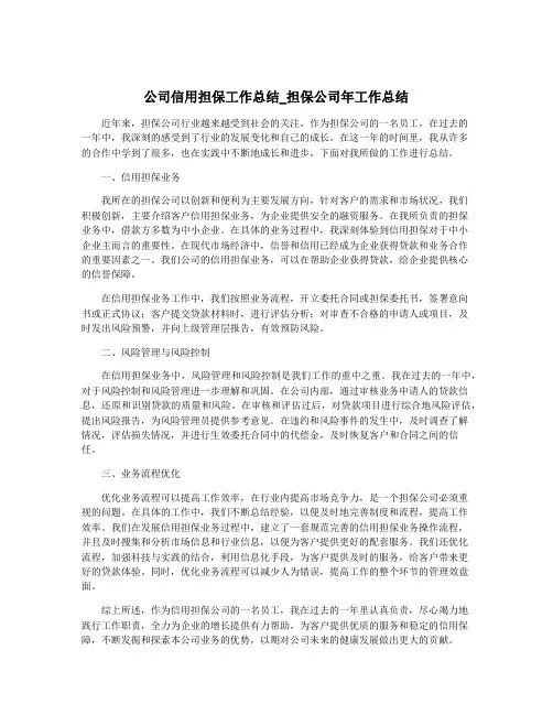 公司信用担保工作总结_担保公司年工作总结