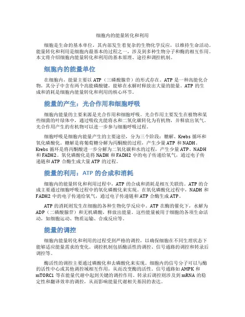 细胞内的能量转化和利用