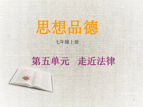 湘教版思品七年级上册第五单元《走近法律》复习PPT教学课件