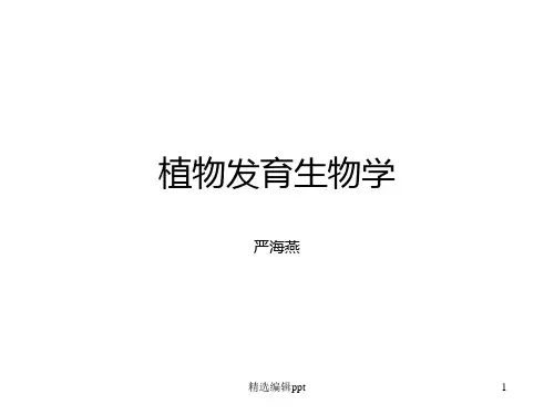 植物发育分子生物学ppt课件