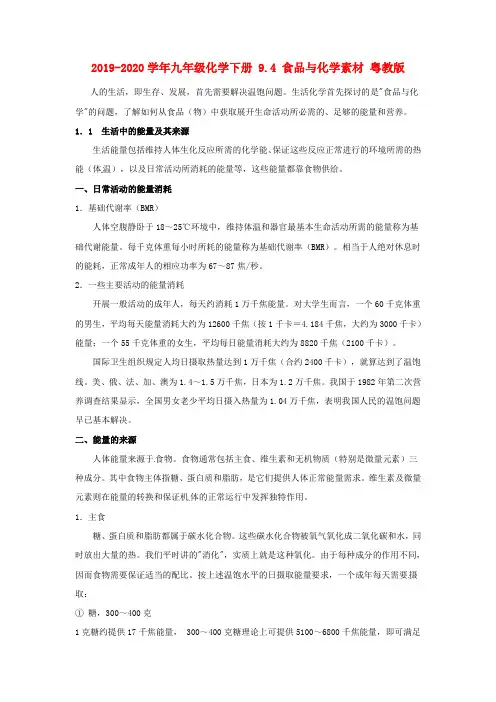 2019-2020学年九年级化学下册 9.4 食品与化学素材 粤教版.doc