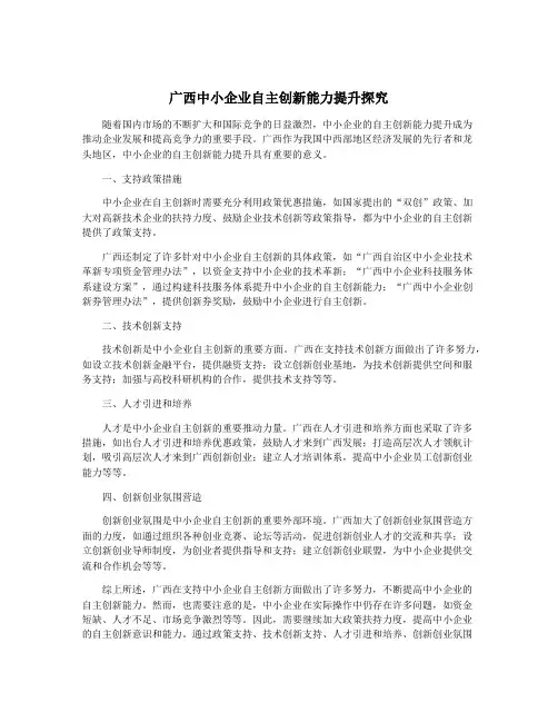 广西中小企业自主创新能力提升探究