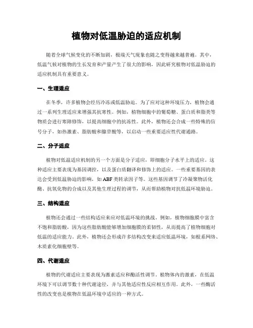植物对低温胁迫的适应机制