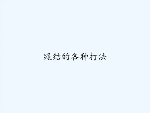 绳结的各种打法ppt