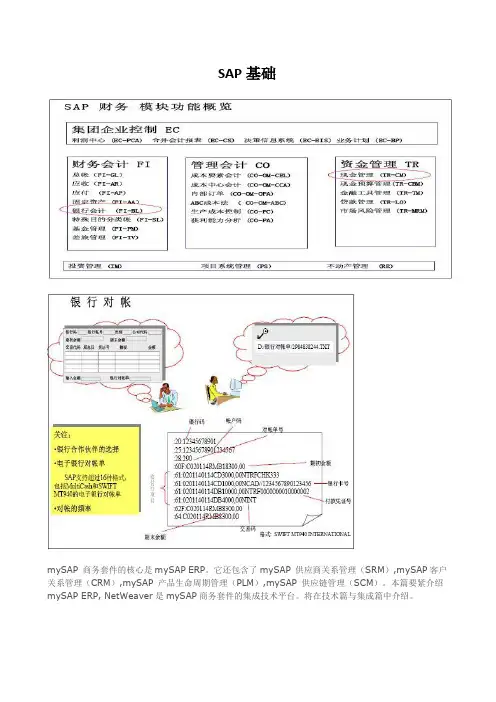 SAP基础
