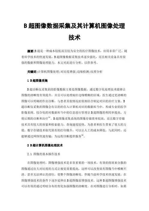 B超图像数据采集及其计算机图像处理技术