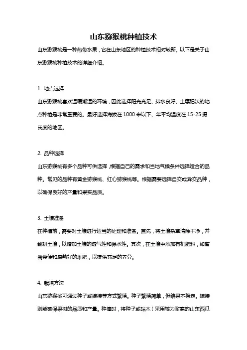 山东猕猴桃种植技术