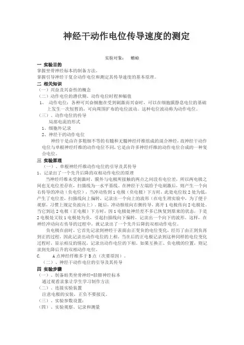 神经干动作电位传导速度的测定