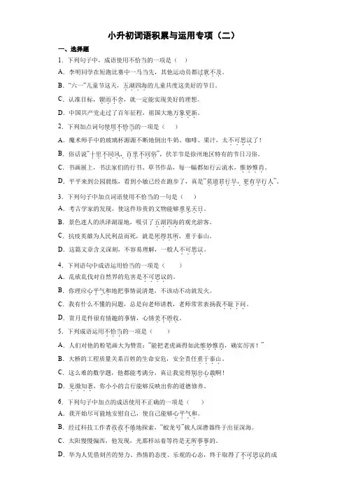 小升初词语积累与运用专练(二)(试题)2022-2023学年语文六年级下册
