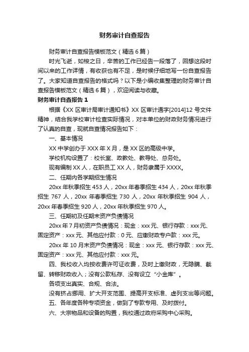 财务审计自查报告模板范文（精选6篇）