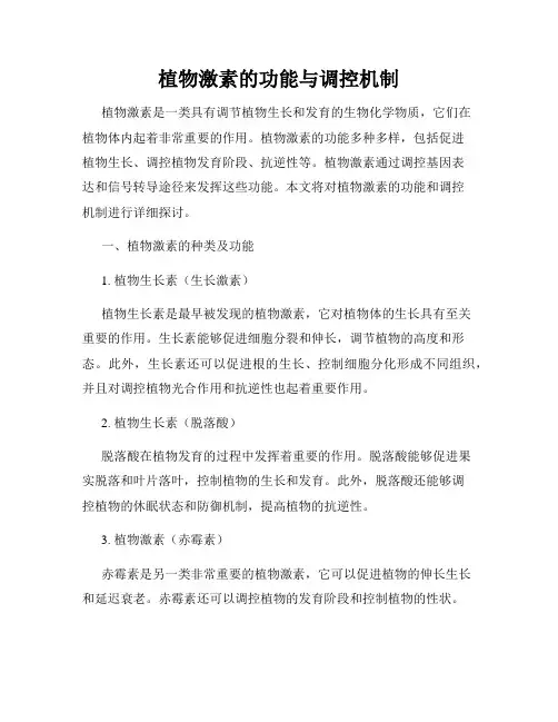 植物激素的功能与调控机制