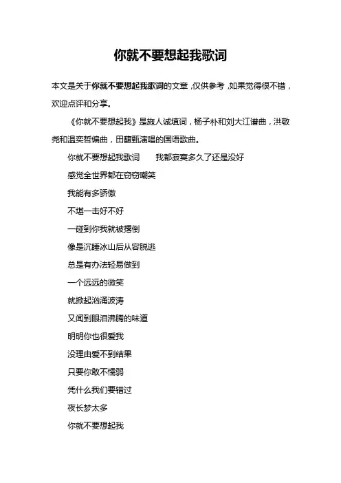 你就不要想起我歌词