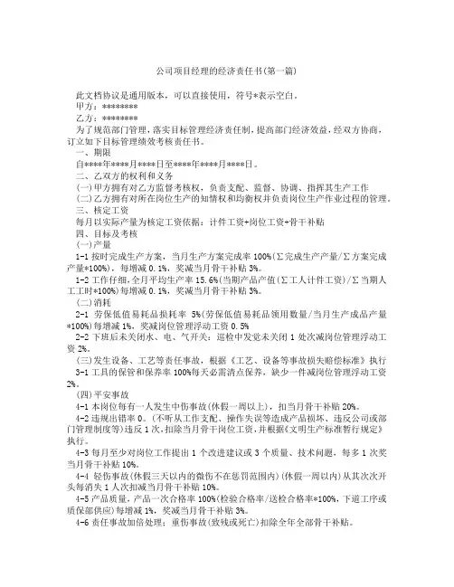 公司项目经理的经济责任书精选3篇