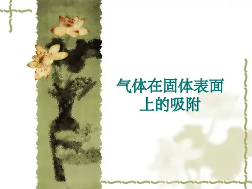 气体在固体表面的吸附