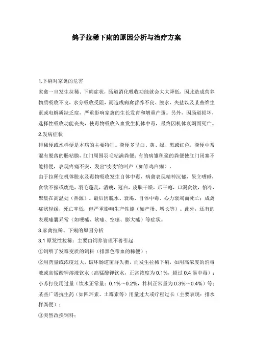 鸽子拉稀下痢的原因分析与治疗方案