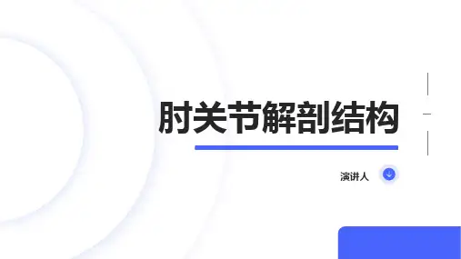 肘关节解剖结构