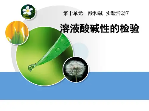 《溶液酸碱性的检验》酸和碱PPT课件