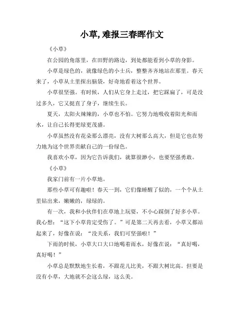 小草,难报三春晖作文