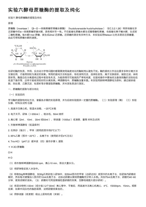 实验六酵母蔗糖酶的提取及纯化