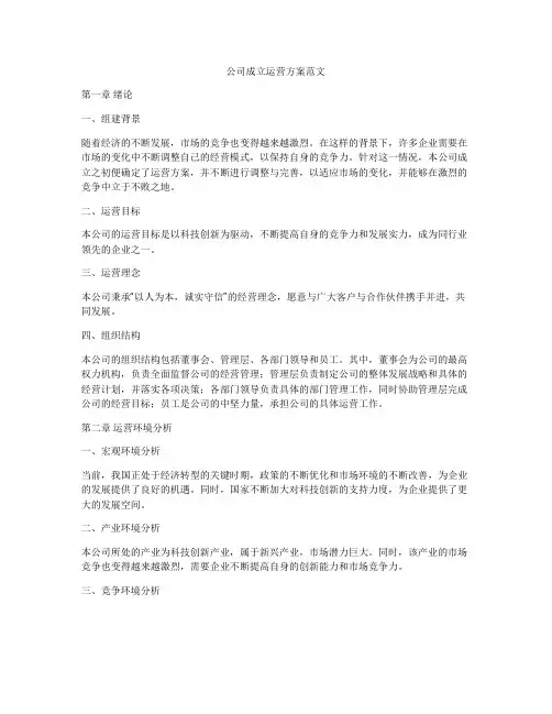 公司成立运营方案范文