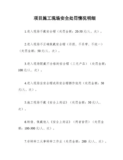 项目施工现场安全处罚情况明细