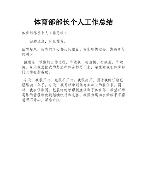 体育部部长个人工作总结