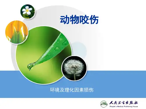 动物咬伤课件