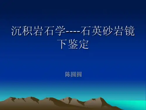 沉积岩石学-石英砂岩