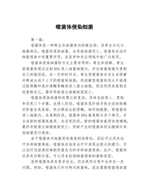 噬菌体侵染细菌3篇