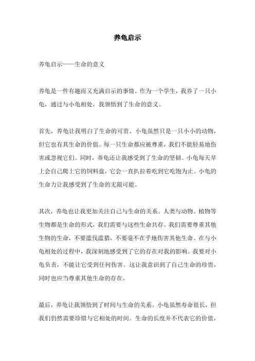 养龟启示_精品范文