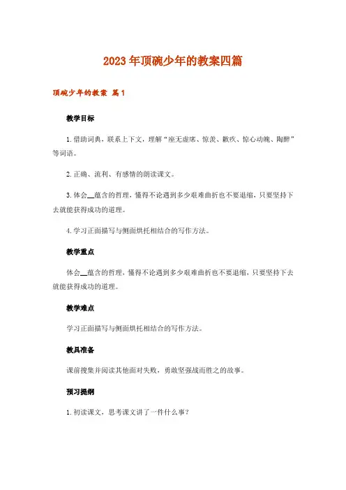 2023年顶碗少年的教案四篇
