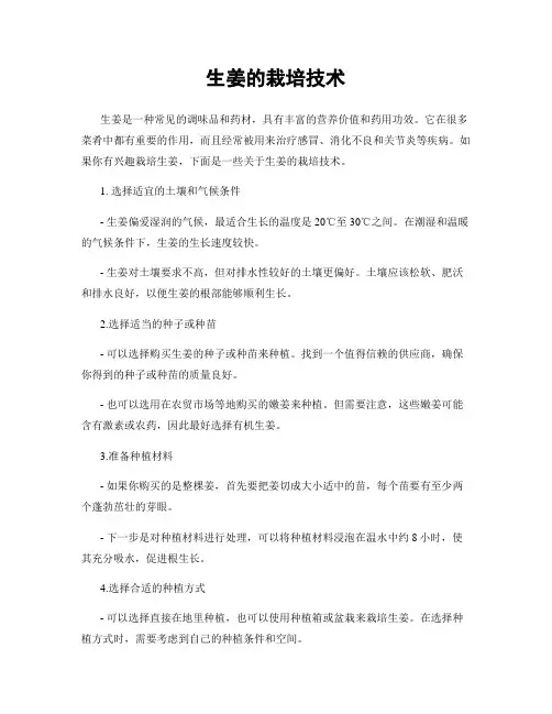 生姜的栽培技术