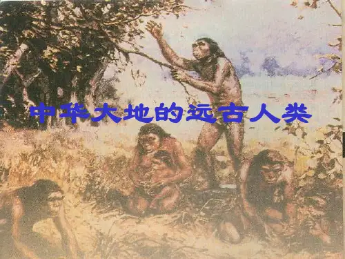 中华大地的远古人类ppt4 北师大版