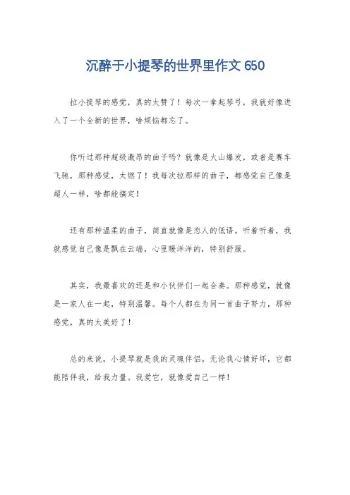 沉醉于小提琴的世界里作文650