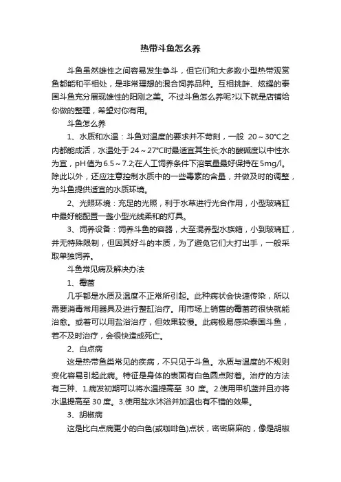 热带斗鱼怎么养
