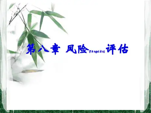 第八章风险评估(PPT)